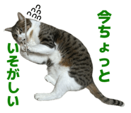 834901818