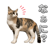 834901835