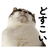 834901836