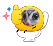 834906938