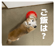 834926958