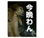 834926961