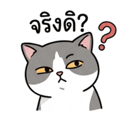 834928636