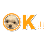 834929228