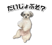 834929240
