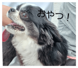 834929442