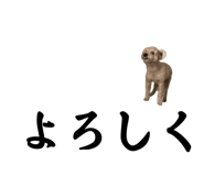 835013638
