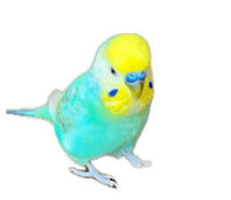 835014880