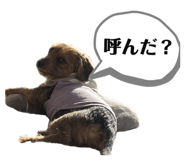 835014882