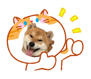 835024144