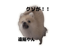 835029069
