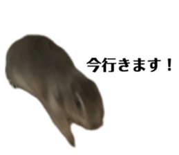 835030819