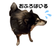 835039732