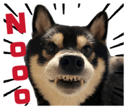 835039745