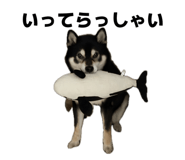 835039746