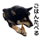 835039750
