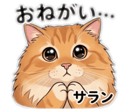 835043215
