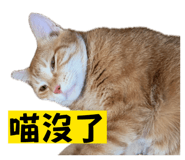 835044295