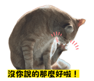835044297