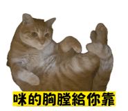 835044299