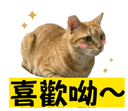 835044313