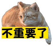 835044320