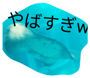 835046630