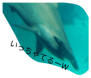 835046633