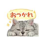 835053151