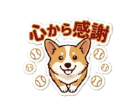 835054222