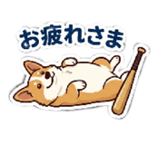 835054224