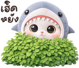 ลายที่ 33