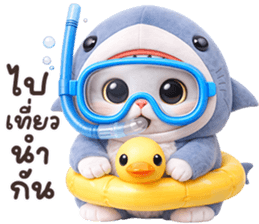 ลายที่ 47