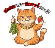 835056167