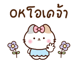 ลายที่ 13