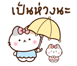 ลายที่ 29