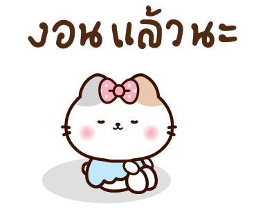 ลายที่ 24