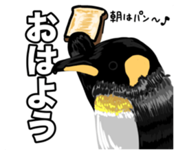 835057082