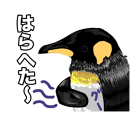 835057084