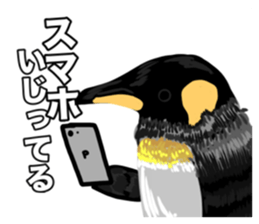 835057086
