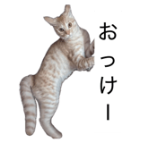 835064584