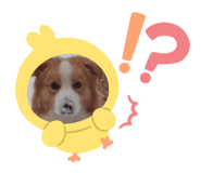835065119