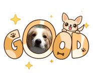 835065121