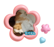 835065144