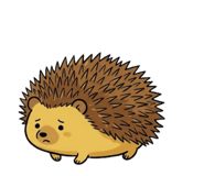 835065570