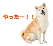 835066953