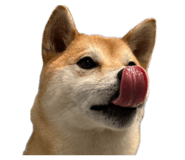 835066957