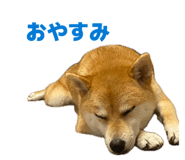 835066958