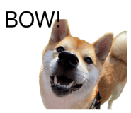 835066959