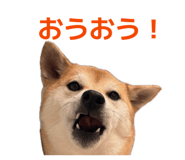 835066961